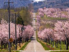 ���Z�Ԍ����̎ʐ^1