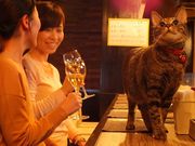 C܂܂ȃC^A `[[̎ʐ^1