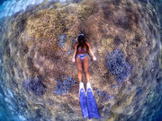 Kahoo_ishigaki̎ʐ^4