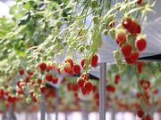 �̌��_���@�݂Ƃ��̎ʐ^2