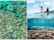 TarzanWorld�̎ʐ^2