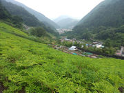 �����_�Ђ̎ʐ^3