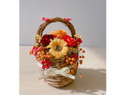 t[T[NL Y2Ղ炴̎ʐ^4