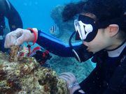 Second Station@̎ʐ^3