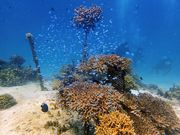 Second Station@̎ʐ^4