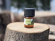 Licca[݂Ȃݒ̃A}H[[̎ʐ^4