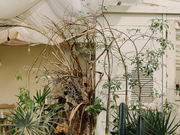 soe.okinawa / P-style wedding̎ʐ^3