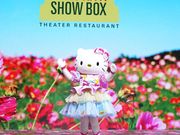 yHELLO KITTY SHOW BOXz yHELLO KITTY APPLE HOUSEz̎ʐ^3