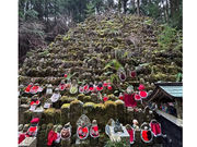 Tabi Tabi Wakayama̎ʐ^3