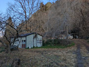 �����q�̎ʐ^3