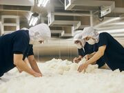 �ʔT���𑢂̎ʐ^2