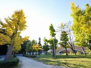 ���ӂ邳�ƌ����̎ʐ^2