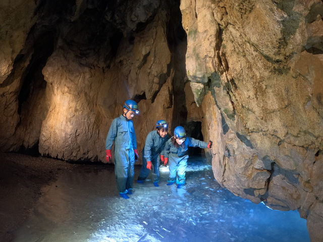 ���}�m���Y��