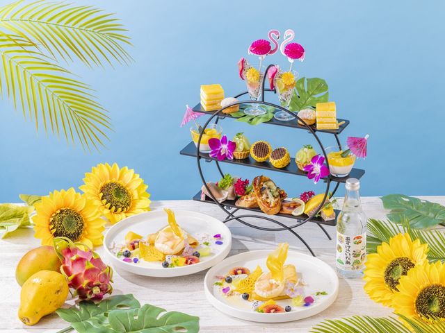 �y���E���WHIMAWARI�z7�E8���T�����b�g�b�T�}�[�A�t�^�k�[���e�B�[�y2026�N�z_���S�g���^�z�e��