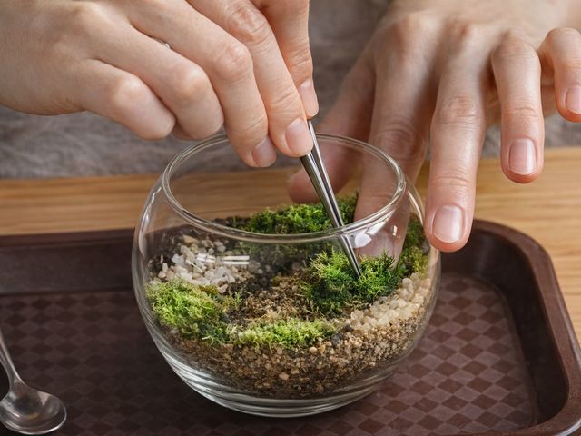 ��i���l�q_mossloulan�O��