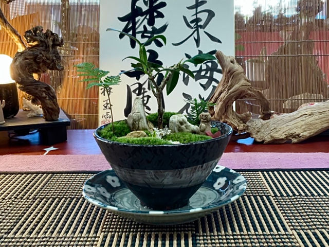 aɑۂƎ؂ziȖ~iBamǂ̋Ԃɂ悭܂B
_mossloulanO