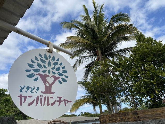 ��t�ɂ��邱����̊Ŕ�ڈ�ɂ��z����������_�����o�����`���[����X