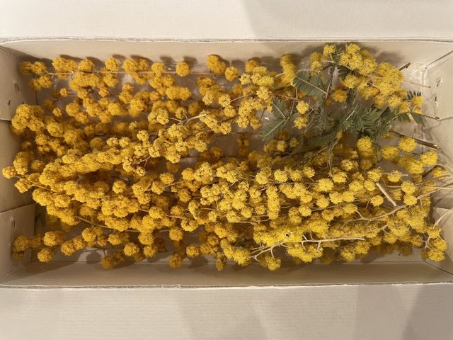 �G�߂ɍ��킹�ĉԍނ���ׂ��Ă��܂���_aroma&color New me