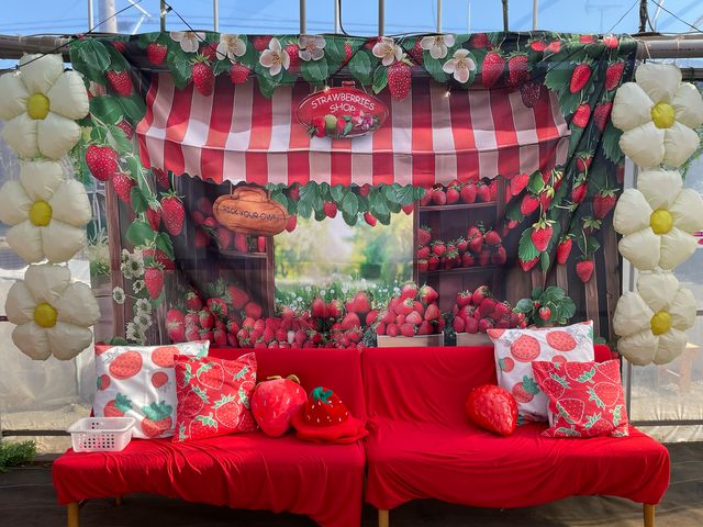 �t���[�c�����h���܂���