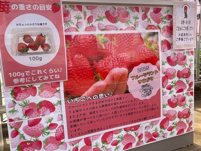 �t���[�c�����h���܂���