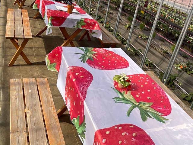 �t���[�c�����h���܂���