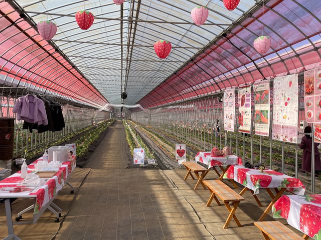 �t���[�c�����h���܂���