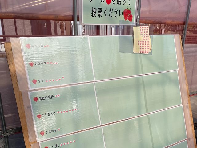 �t���[�c�����h���܂���