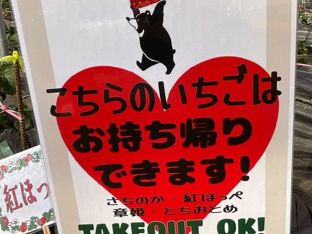 �t���[�c�����h���܂���