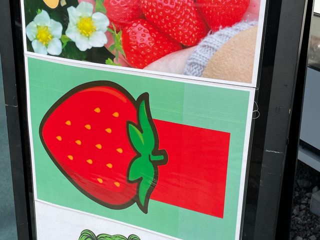 �t���[�c�����h���܂���