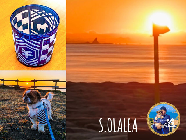 �I�����A������A�[�g�N���t�g�̎ʐ^1