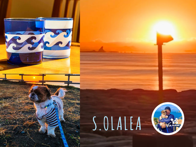 �I�����A������A�[�g�N���t�g�̎ʐ^1