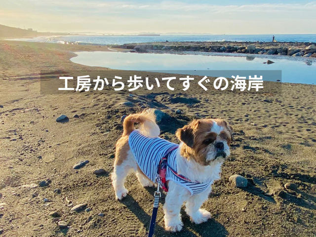 �Ŕ��V���o����ƒ��U��
�H�[�����300���[�g���̖����C�݁@�G�X�q���]�m���@�����ɂ͕x�m�R����]�ł����i�X�|�b�g�ł��B_�I�����A������A�[�g�N���t�g