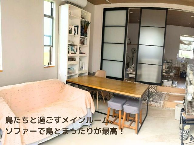 ��^�C���R�̉�