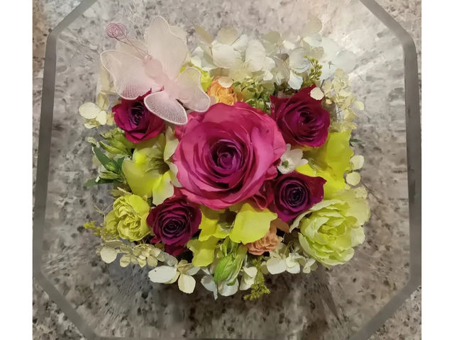 felice�i�t�F���[�`�F�j