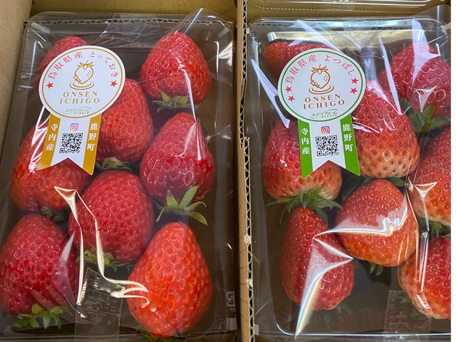 ���C���t�@�[��HYBRID ���򂢂����_��