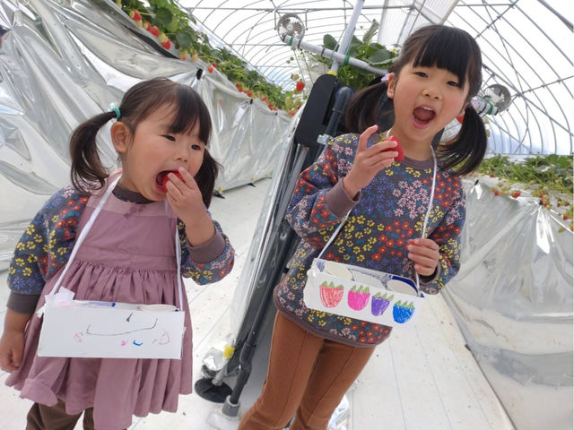 ���C���t�@�[��HYBRID ���򂢂����_��