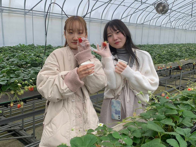 ���C���t�@�[��HYBRID ���򂢂����_��