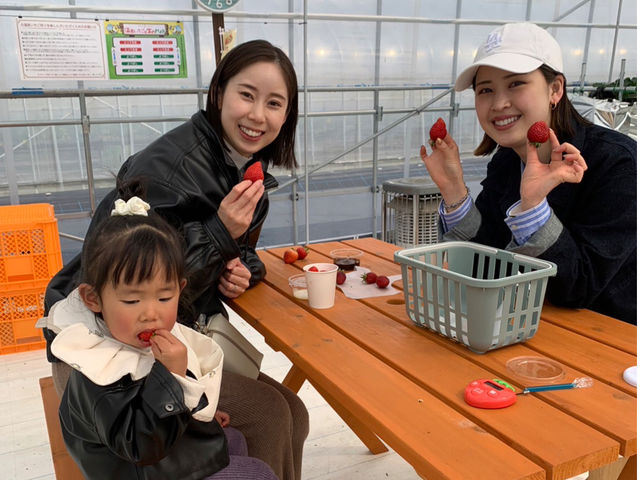 ���C���t�@�[��HYBRID ���򂢂����_��