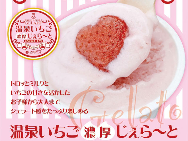 ���C���t�@�[��HYBRID ���򂢂����_��