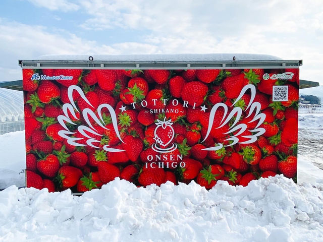 ���C���t�@�[��HYBRID ���򂢂����_��