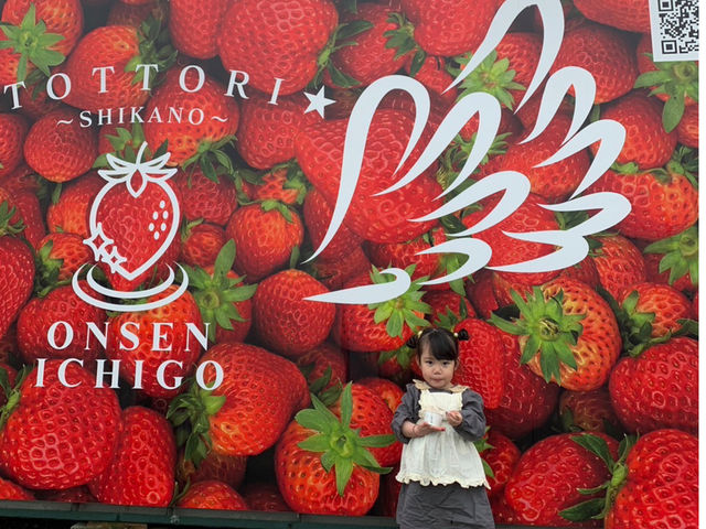 ���C���t�@�[��HYBRID ���򂢂����_��