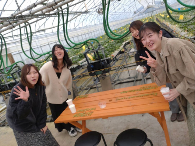 ���C���t�@�[��HYBRID ���򂢂����_��