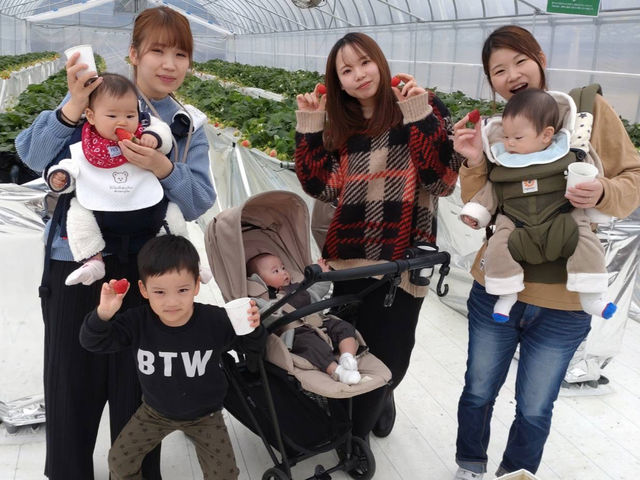 ���C���t�@�[��HYBRID ���򂢂����_��