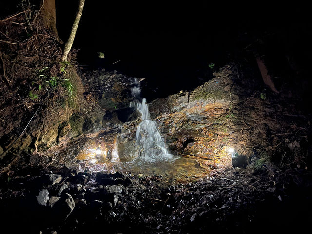 ��̑�B���C�g�A�b�v�i�C�x���g���̂݁j_�A�E�g�h�A�X�y�[�X TAKITSUBO