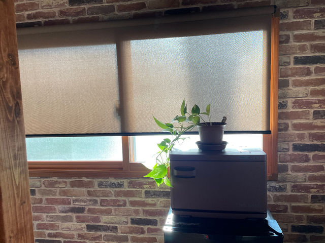 �X�����i�A_���H�[