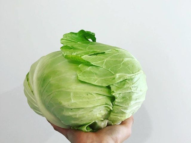 50�N�O�̔_�Ƒ̌�