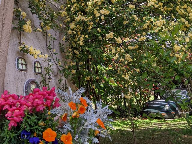 ���b�R�E�o��_�����݃K�[�f�����g���[�g&�g�[�e���̉�