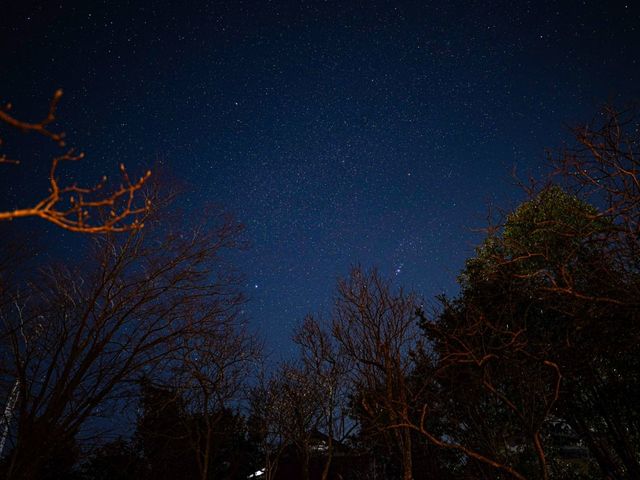 �K�[�f�����猩������_�����݃K�[�f�����g���[�g&�g�[�e���̉�