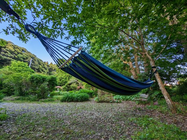 �ؘR����̉��ł����n�����b�N_�����݃K�[�f�����g���[�g&�g�[�e���̉�