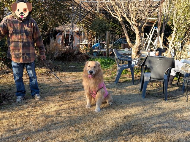 �����R���������I_�����݃K�[�f�����g���[�g&�g�[�e���̉�